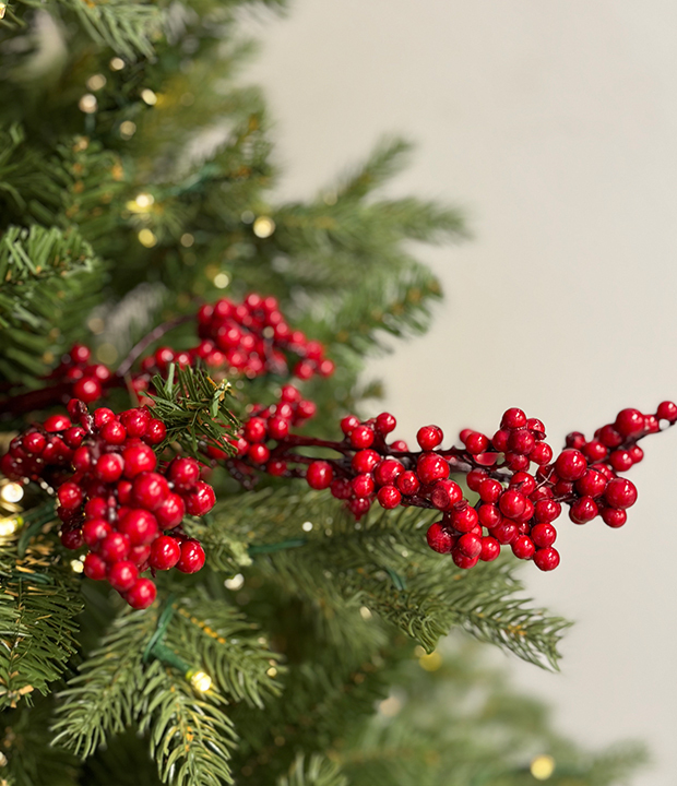 Close-up of a Christmas tree branch with red berries and warm fairy lights among green pine needles, set against an off-white background.